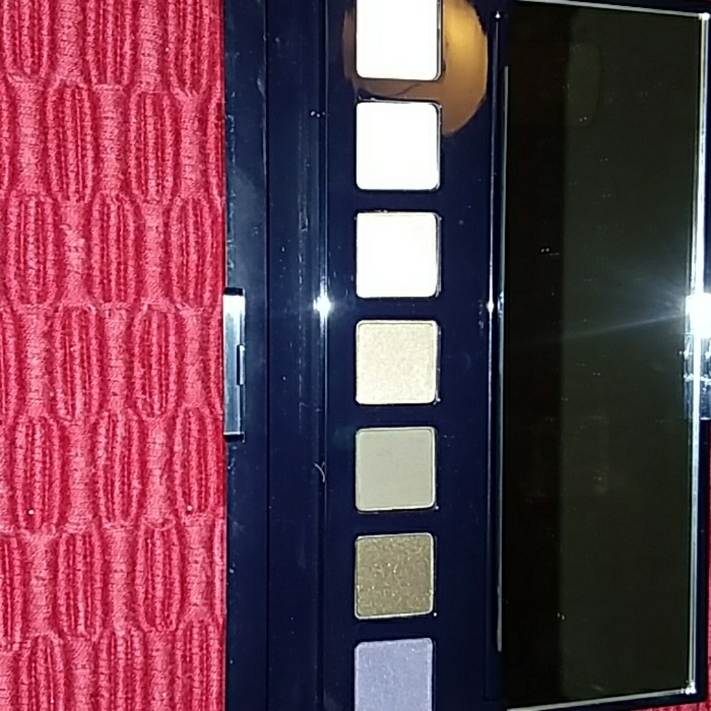 Estee Lauder Pure color envy eyeshadow palette.